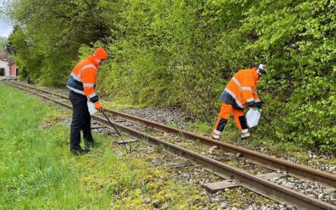 Le service de proximité