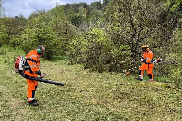 Le service de proximité